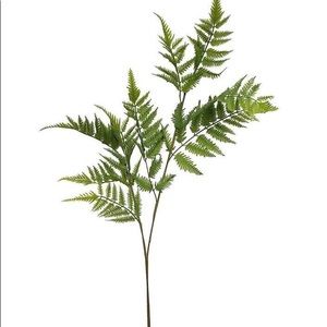 Target faux fern stem S/4
